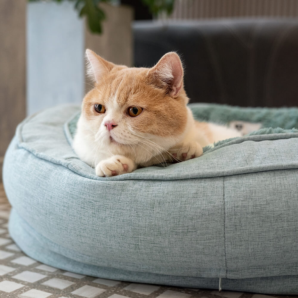 Hundeseng i Doughnut-form – Komfort og Mykhet