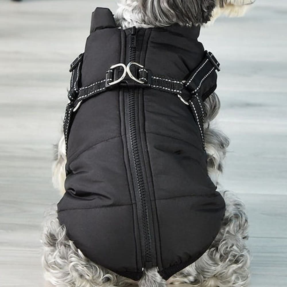 Casaco Impermeável para Cão - Proteção & Estilo