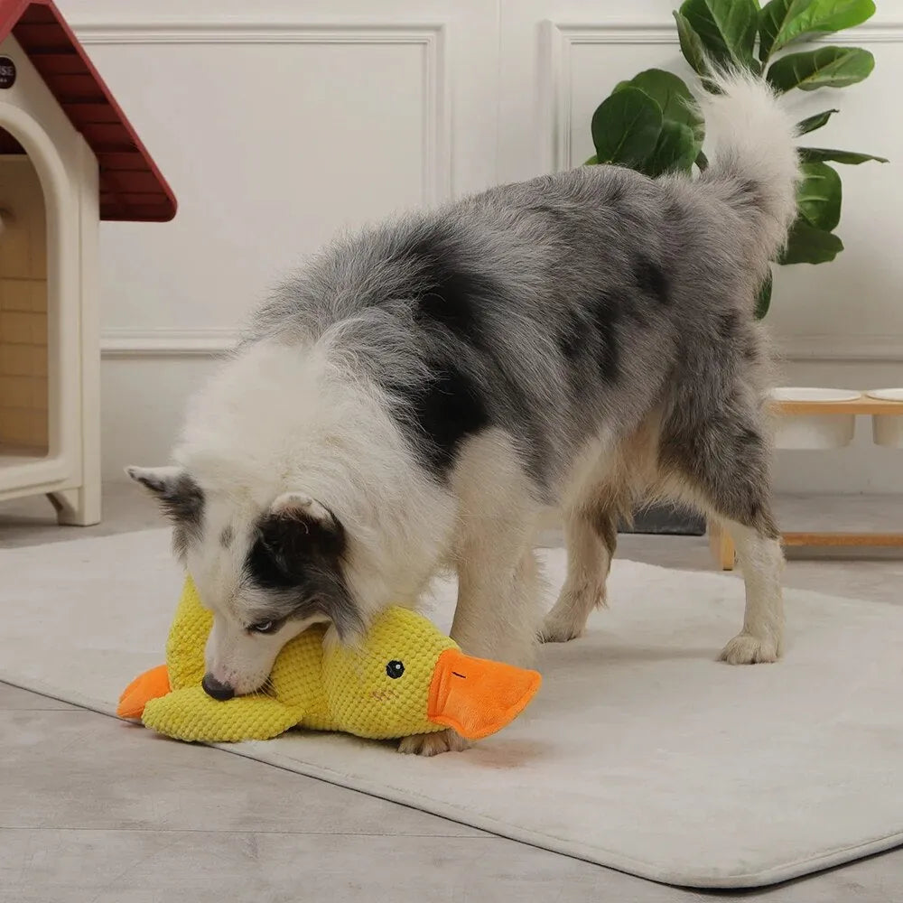 Leksak Anka Lugna För Hund – Lek- och Avkopplingskompanjon