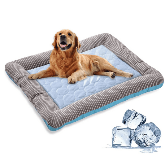 Cojín Refrescante Para Perro – Frescura Y Confort En Verano 