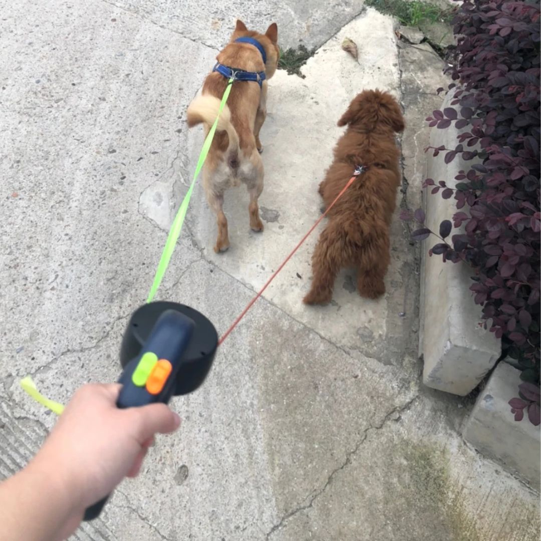 Retractable Dog Leash – With LED Light and Bag Dispenser 