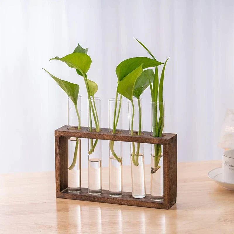 Vases Tubes Décoratifs – Simplicité Et Style Nature