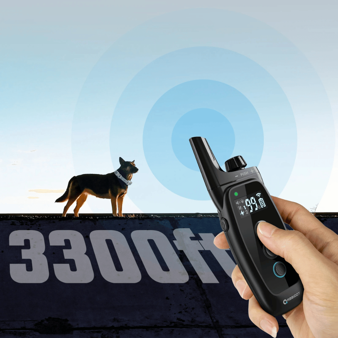 Collar de adiestramiento para perro – Control remoto LED y alcance de 1000 m 