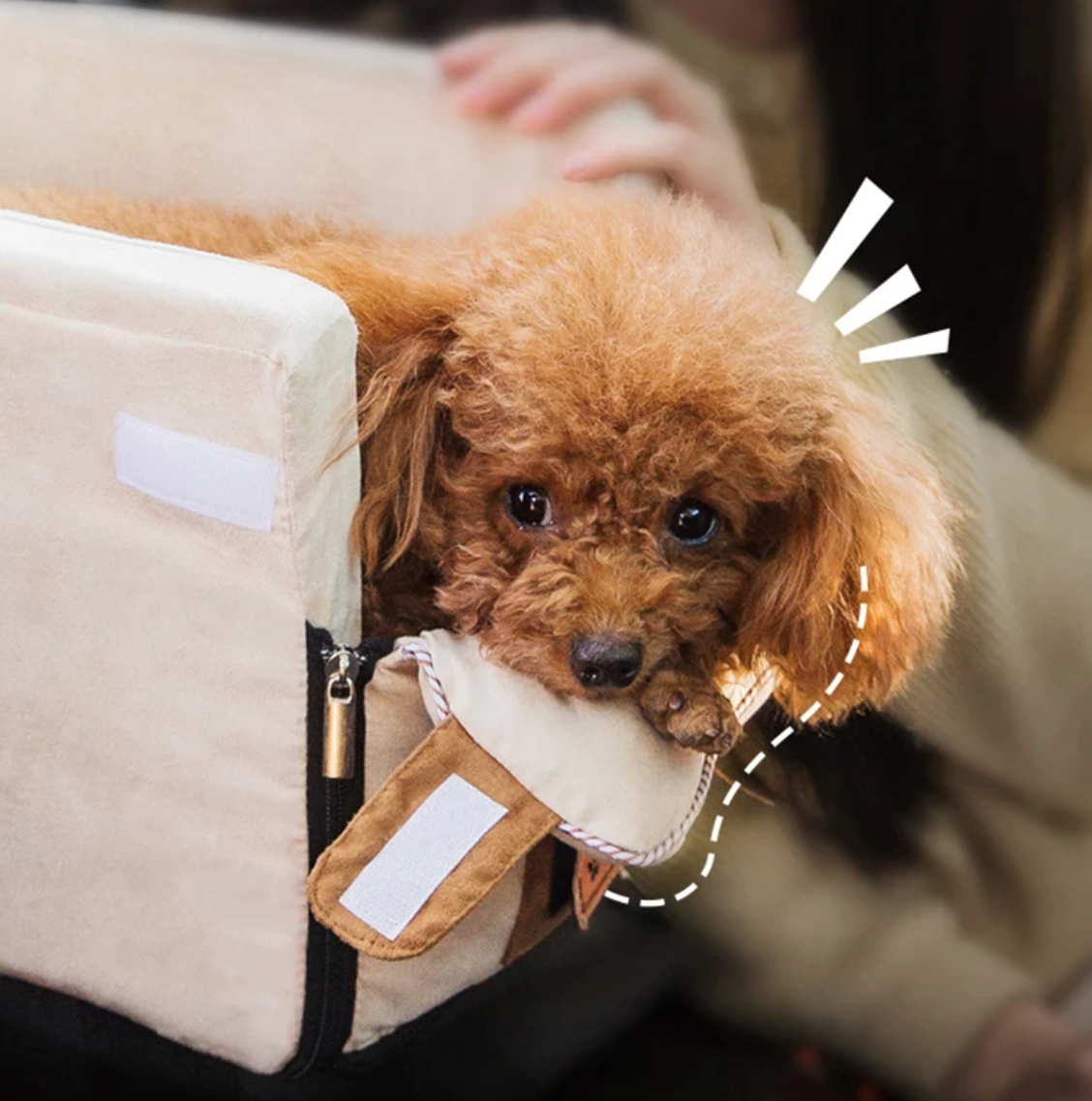 Travel Bed for Pets — Comfort and Serenity Everywhere 