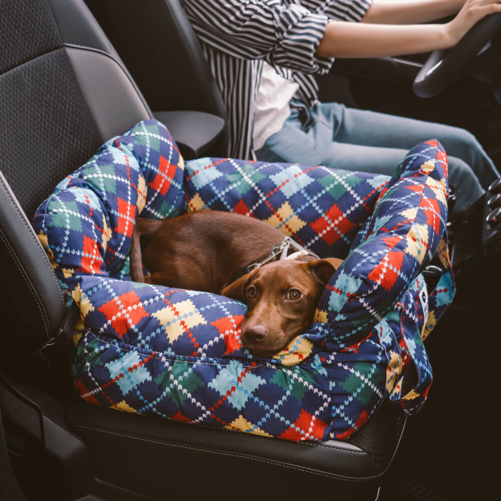 Dog Car Seat – Comfort and Safety While Traveling 