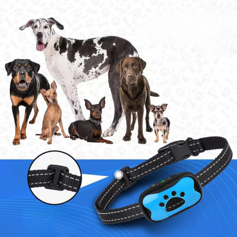 Anti-Bell-Halsband für Hunde — Sanftes und effektives Training 