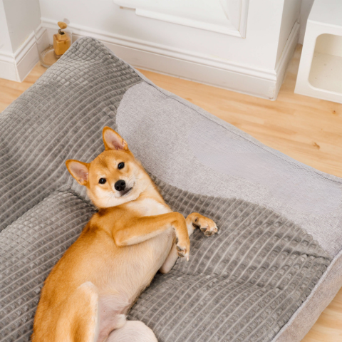 Large Dog Cushion – Optimal Comfort and Soft Support 