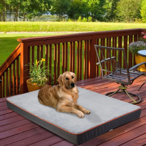 Hundebett für große Hunde – Komfort und angepasster Raum 