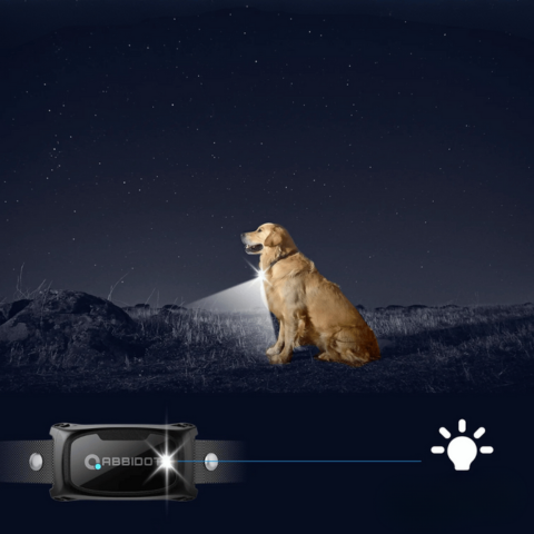 Collar de adiestramiento para perro – Control remoto LED y alcance de 1000 m 