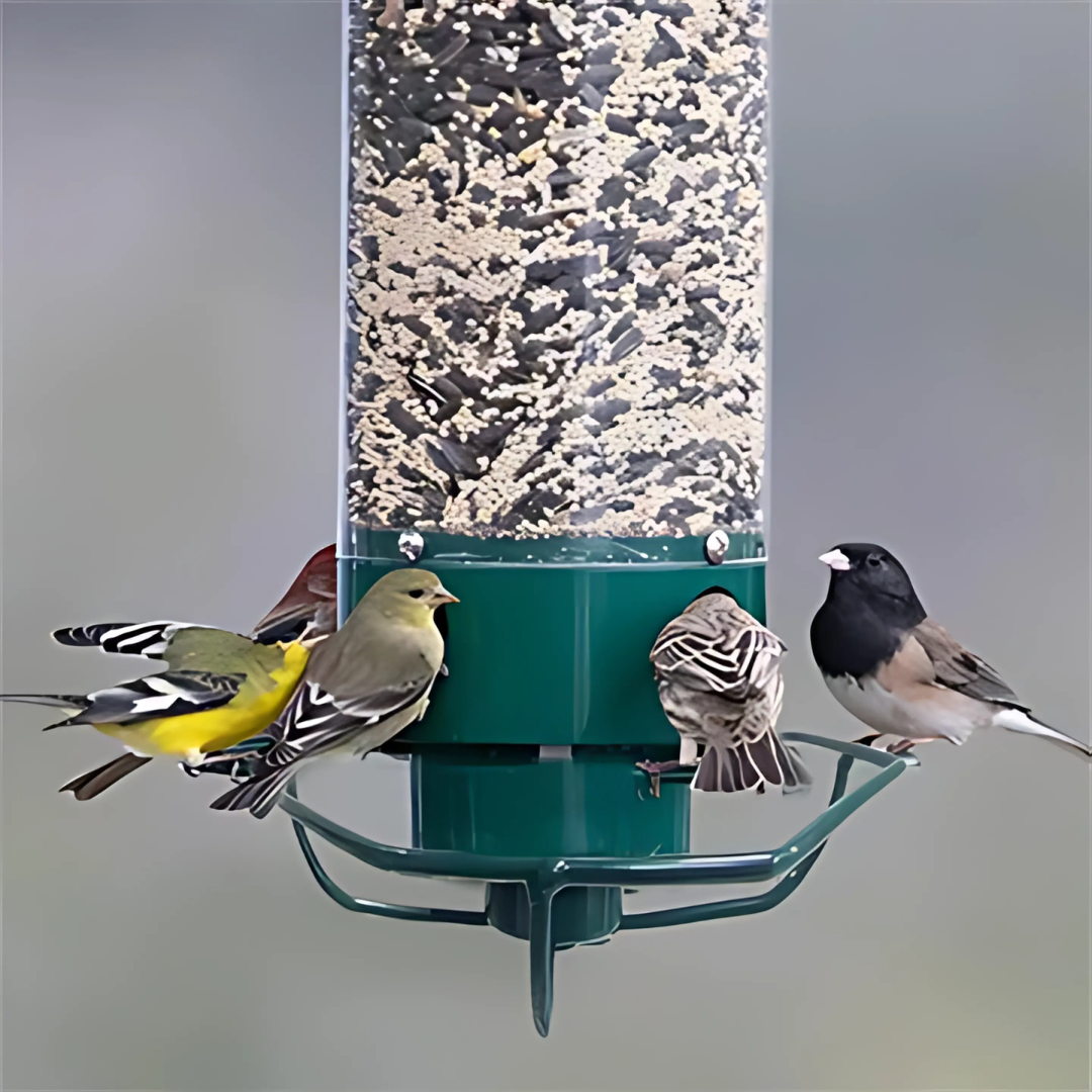 Hängendes Vogelhaus – Eichhörnchenschutz und einfache Befüllung 