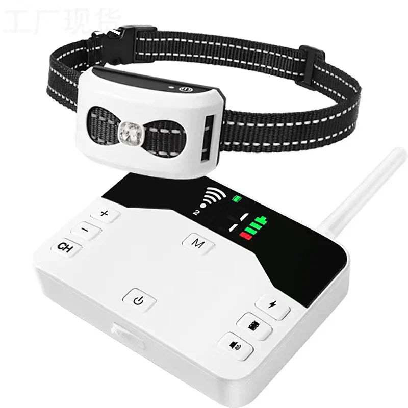 Wireless Fence With Training Collar – Safety And Education For Dogs 
