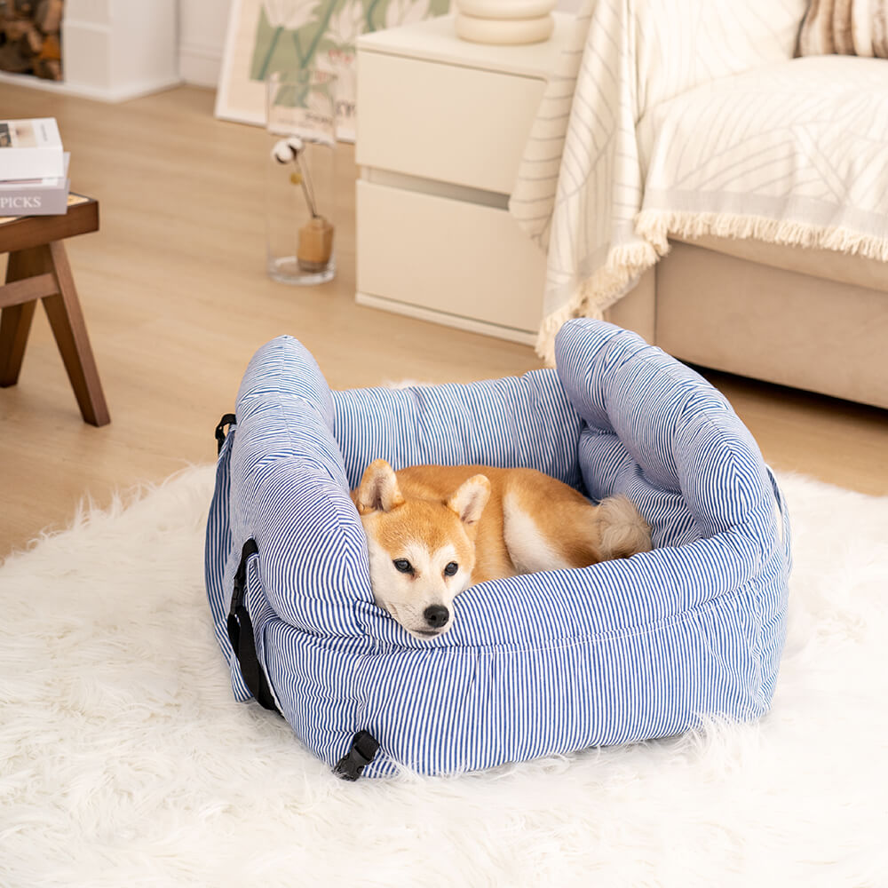 Dog Car Seat – Comfort and Safety While Traveling 