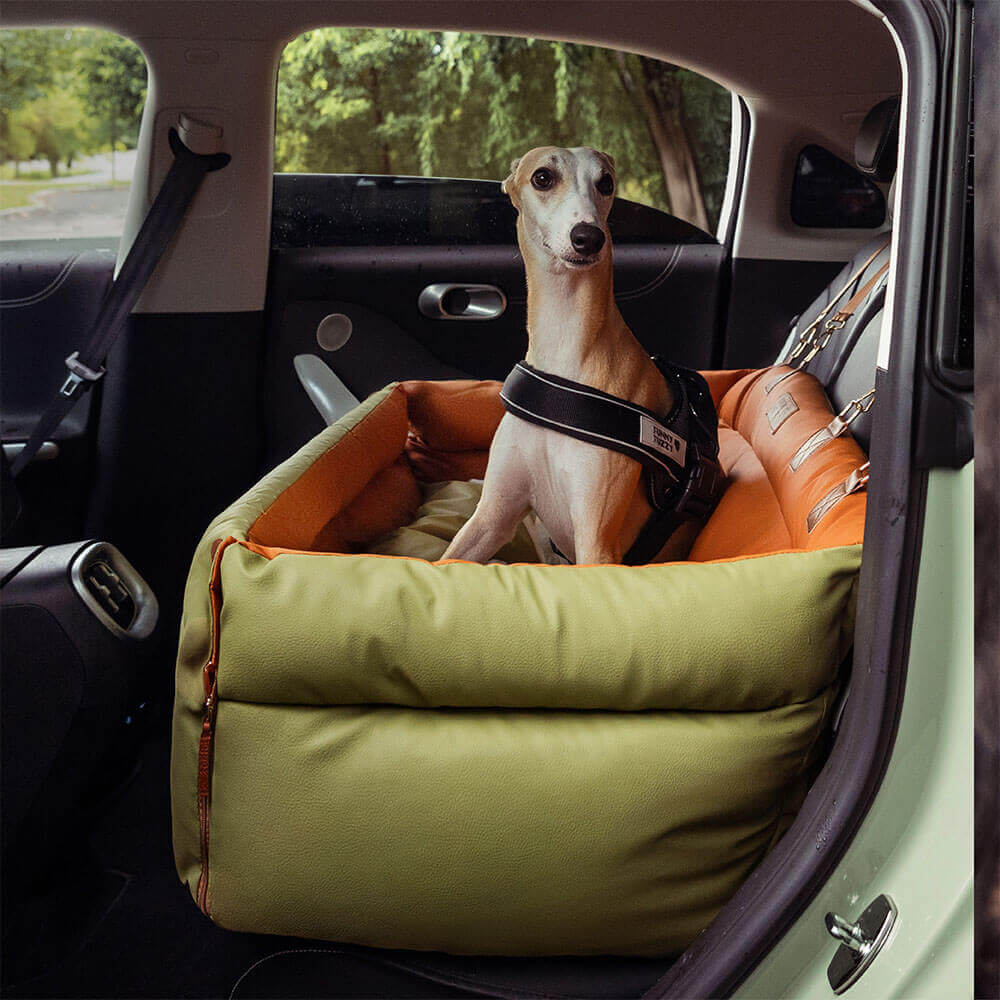 Siège Auto Pour Chien – Confort Et Protection